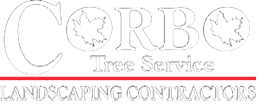 Corbo Tree & Landscaping Service